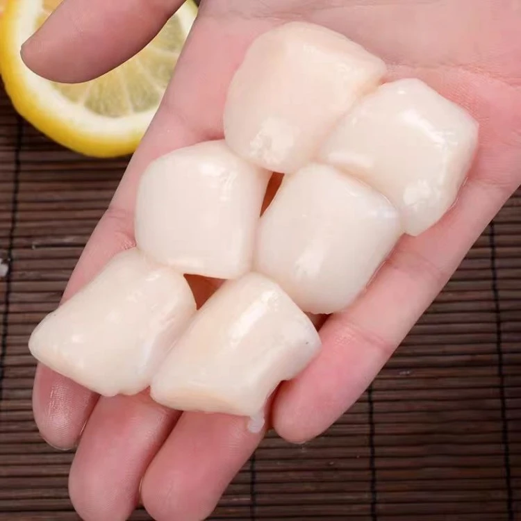 frozen-scallop-for-grilling