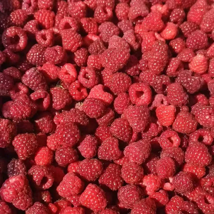 frozen-raspberry-fruit